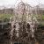 Cherry - Weeping Snow Fountain

Light: Sun/Part Shade
Zone: 5
Size: 12'X12'
Bloom Time: May
Color: White
Soil: Well-Drained