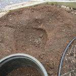 Shrubs and trees should have the hole dug twice the width of the root ball.  However, do not dig the hole too deep.