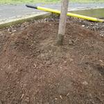 After you have finished planting we suggest using a 3-inch layer of mulch over the soil to help block out weeds and hold in moisture.  When mulching around trees, keep the mulch about 2 inches away from the trunk.