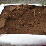 Adding soil amendments such as peat moss, manure, compost, or other materials high in humus helps to loosen the soil.