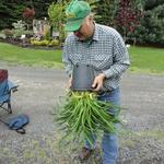 Take the plant out of the container.