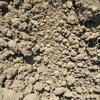 Soil - Screened Topsoil