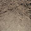 Soil - Mushroom