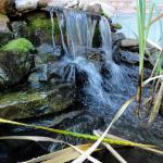 Pond with Waterfall