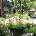 Koi Pond with Two Waterfalls in a courtyard