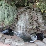 This pond is installed by a swimming pool. 