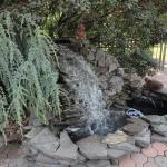 Another view of the pond by a swimming pool. 