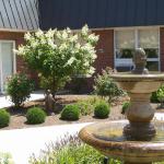 Fountain close up in courtyard